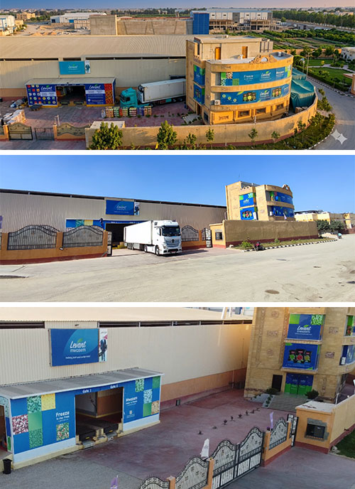 Levant Mwasem Factory