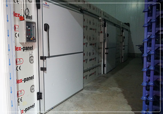 Blast Freezers