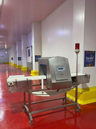 Metal Detection
