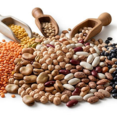 Legumes