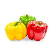 Colored Bell Pepper
