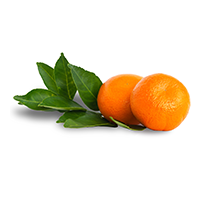 Murcott Mandarins
