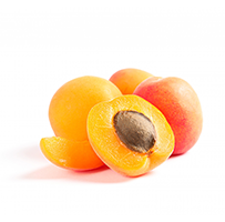Apricot