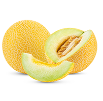 Cantaloupe