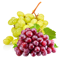 Grapes