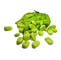 Broad Beans