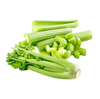 Celery