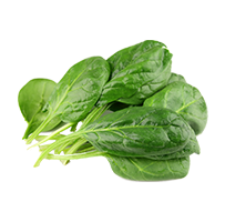 Spinach