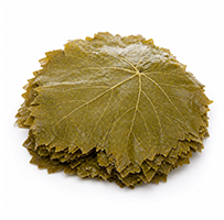 Vine Leaves