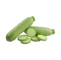 Zucchini