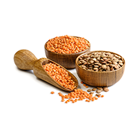 Lentils