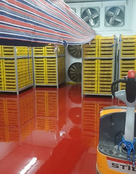 Pre-cooling Room